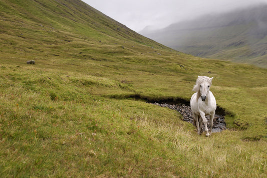 The Faroe Islands...Is the Magic Real?