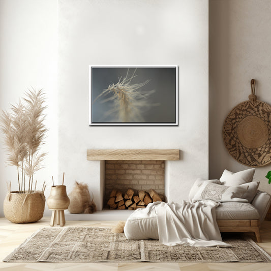 Dried Grass as Art-Fine Art Photography-Macro of Dried Grass