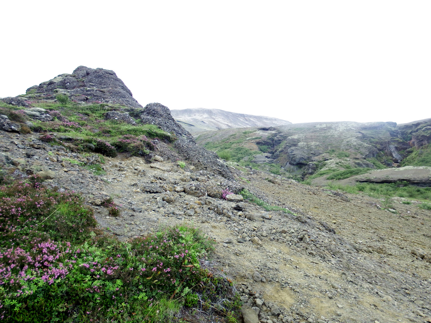 Flowers Among the Rocks-Fine Art Photography-Beautiful Rocky Landscape with Pink Flowers-Iceland
