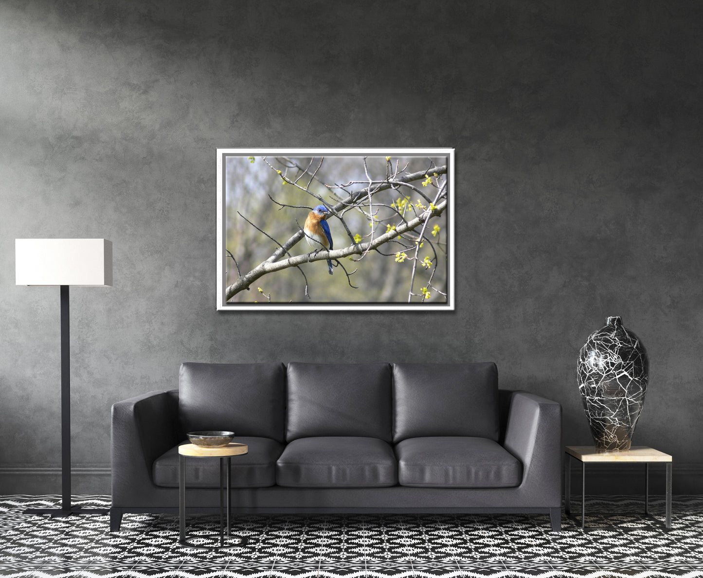 Beautiful, Springtime, Bluebird sitting in a blooming tree. Fine Art Canvas Art print by Kristen Olivares