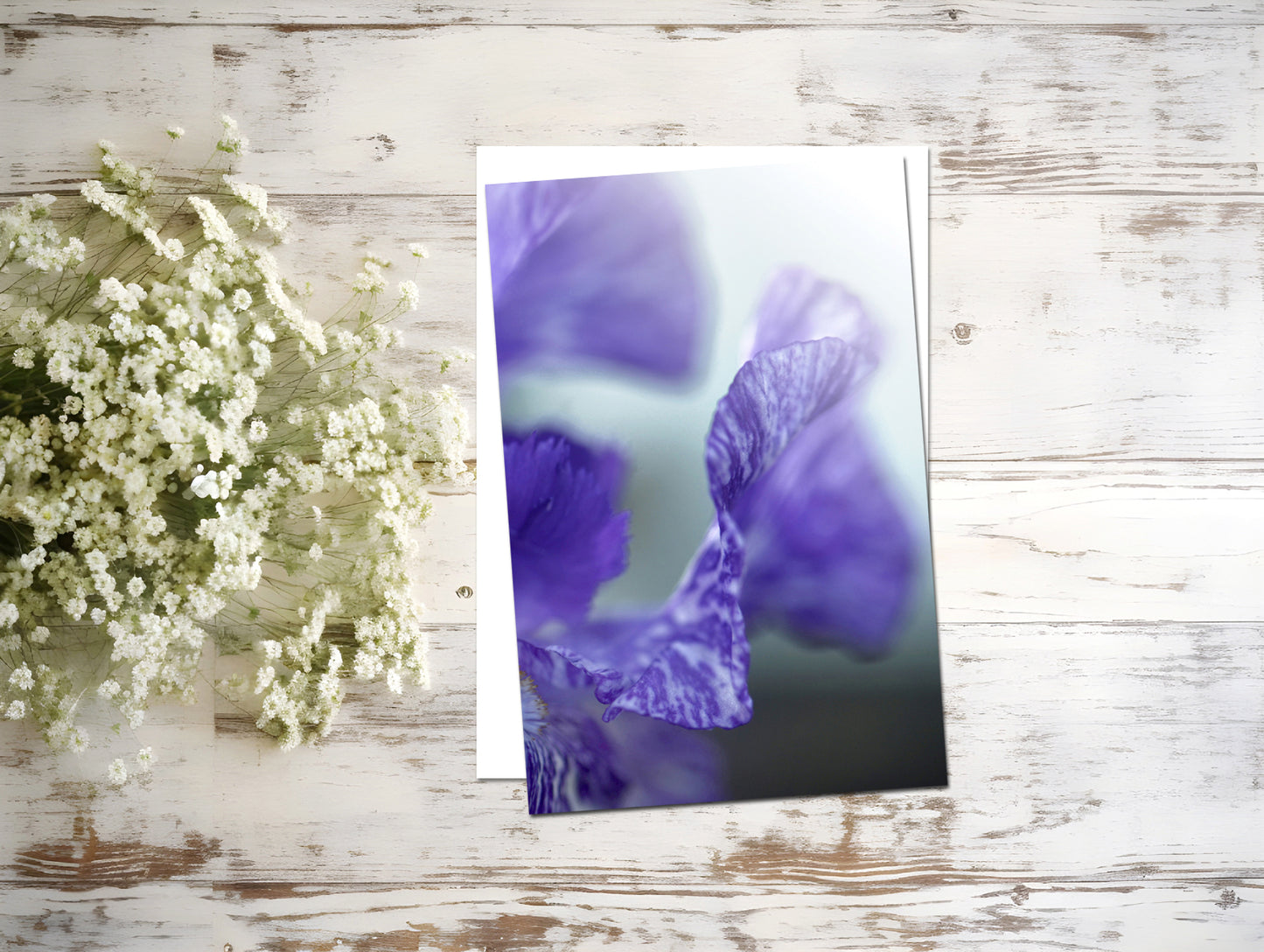 Beautiful Blank Iris card. Send a handwritten note again!