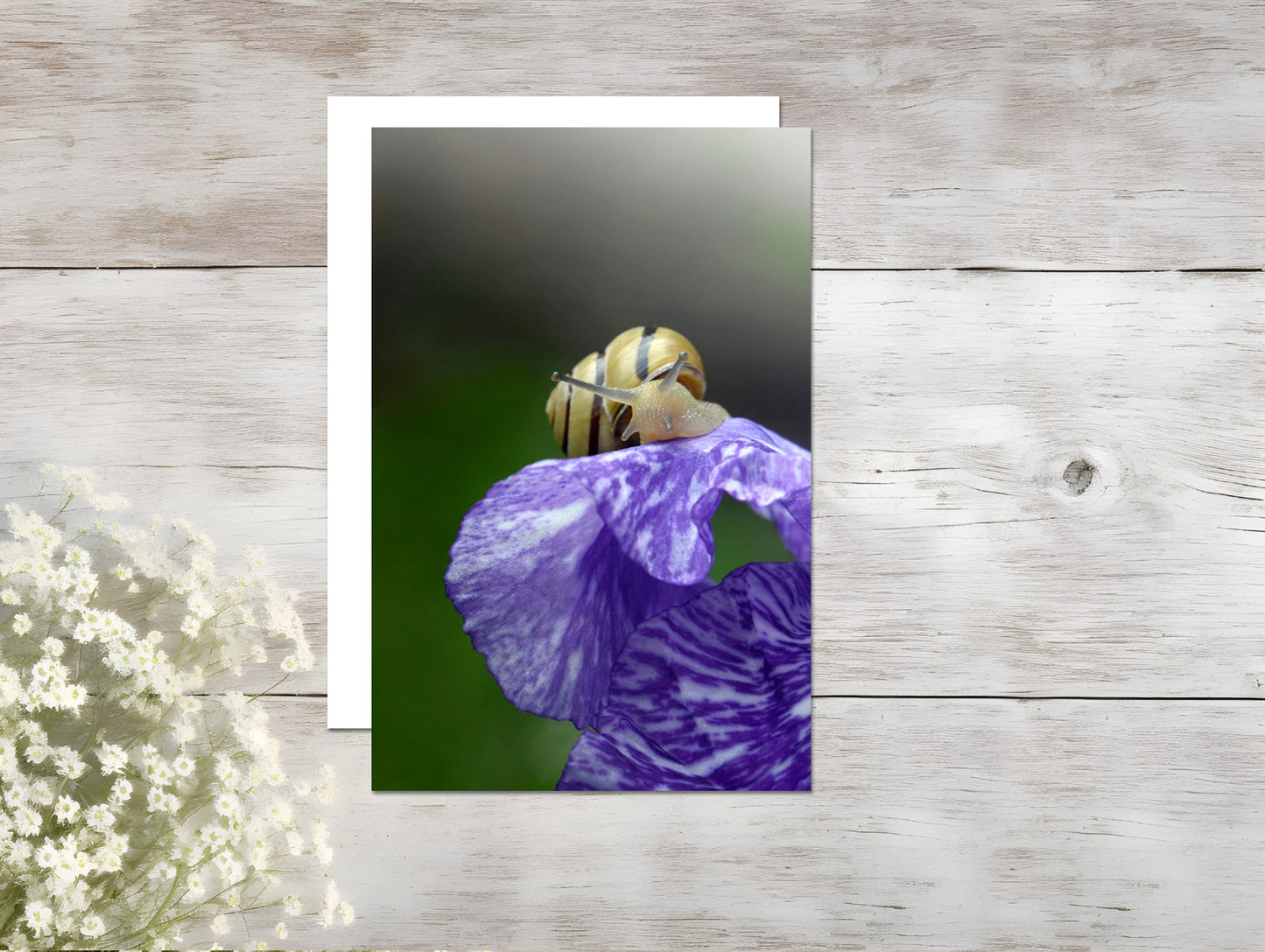 Beautiful Blank Iris card. Send a handwritten note again!