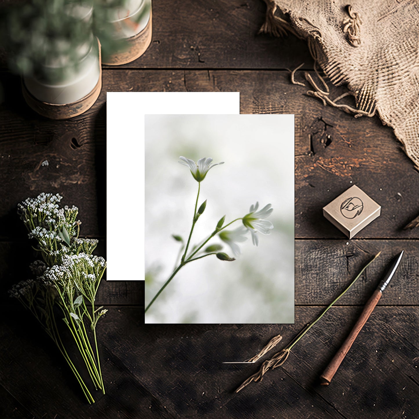 Beautiful Blank Iris card. Send a handwritten note again!