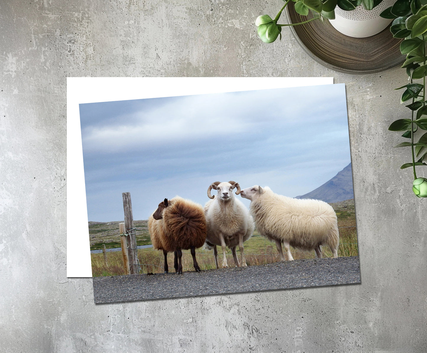 Beautiful Blank Iris card. Send a handwritten note again!