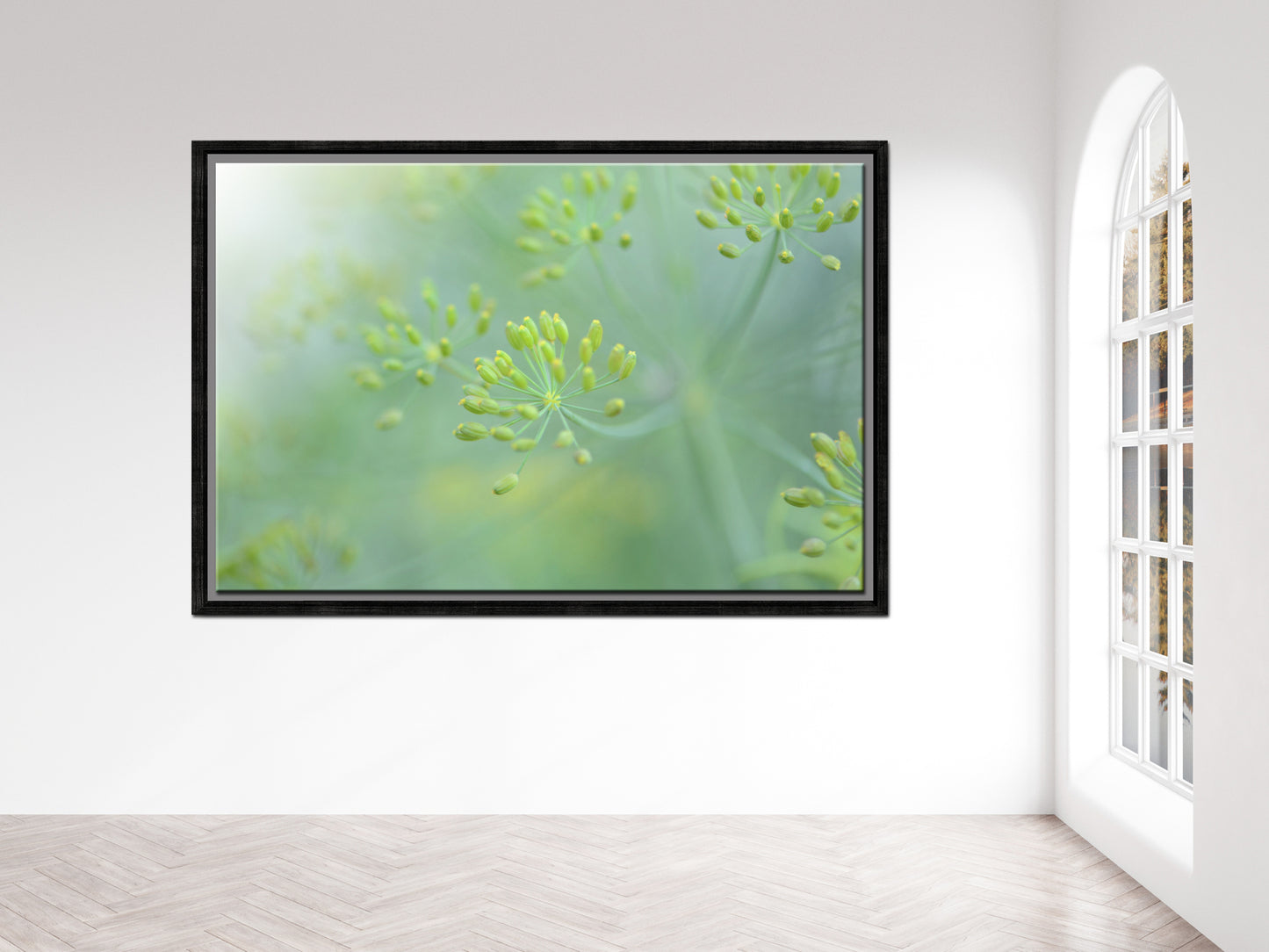 Bright and beautiful yellow Dill buds. Fine Art Photography Framed Wall Art by Kristen Olivares