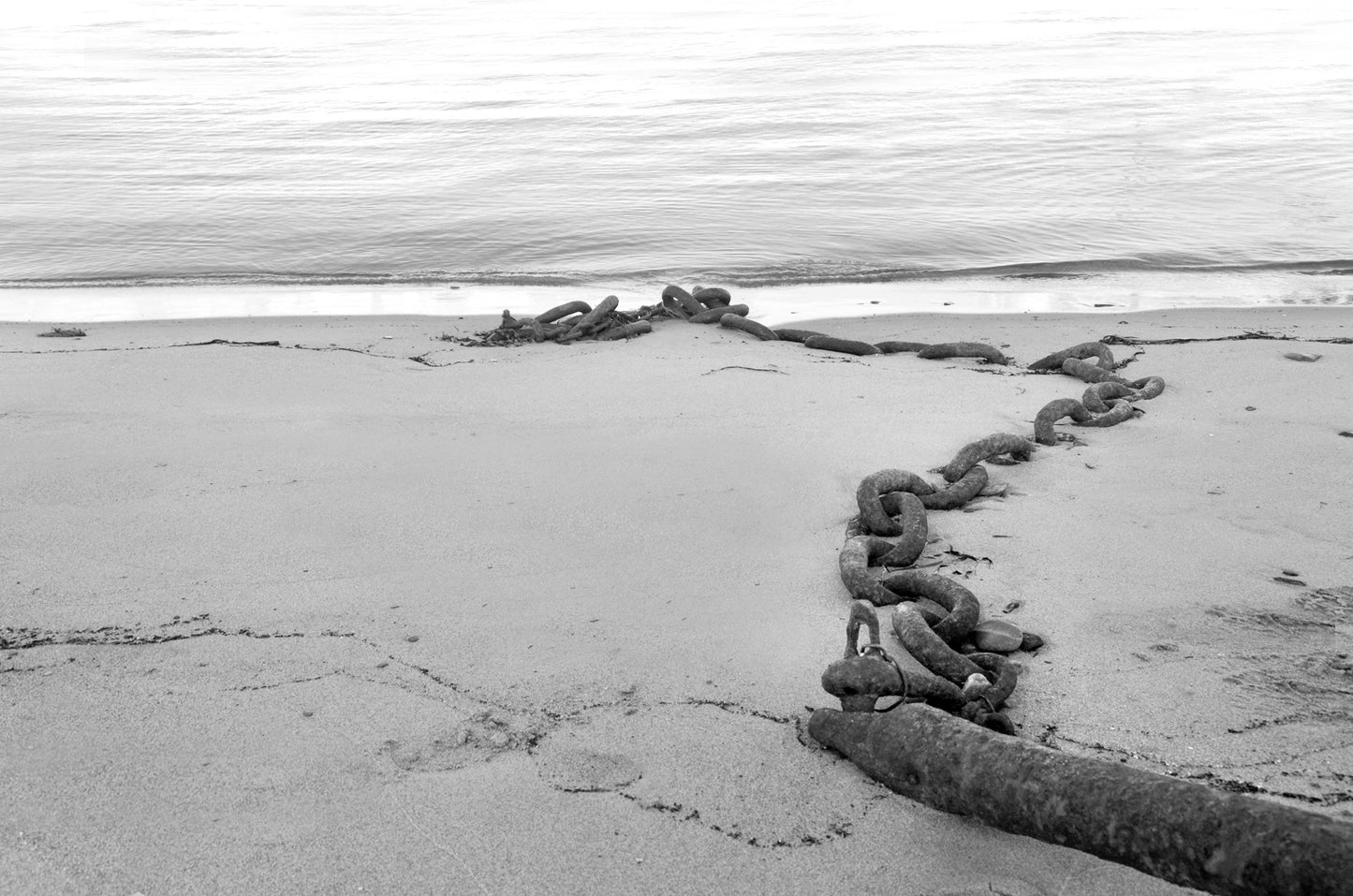 Old chain left upon the shore of Canada. Fine Art Photography. Black and white. Kristen Olivares