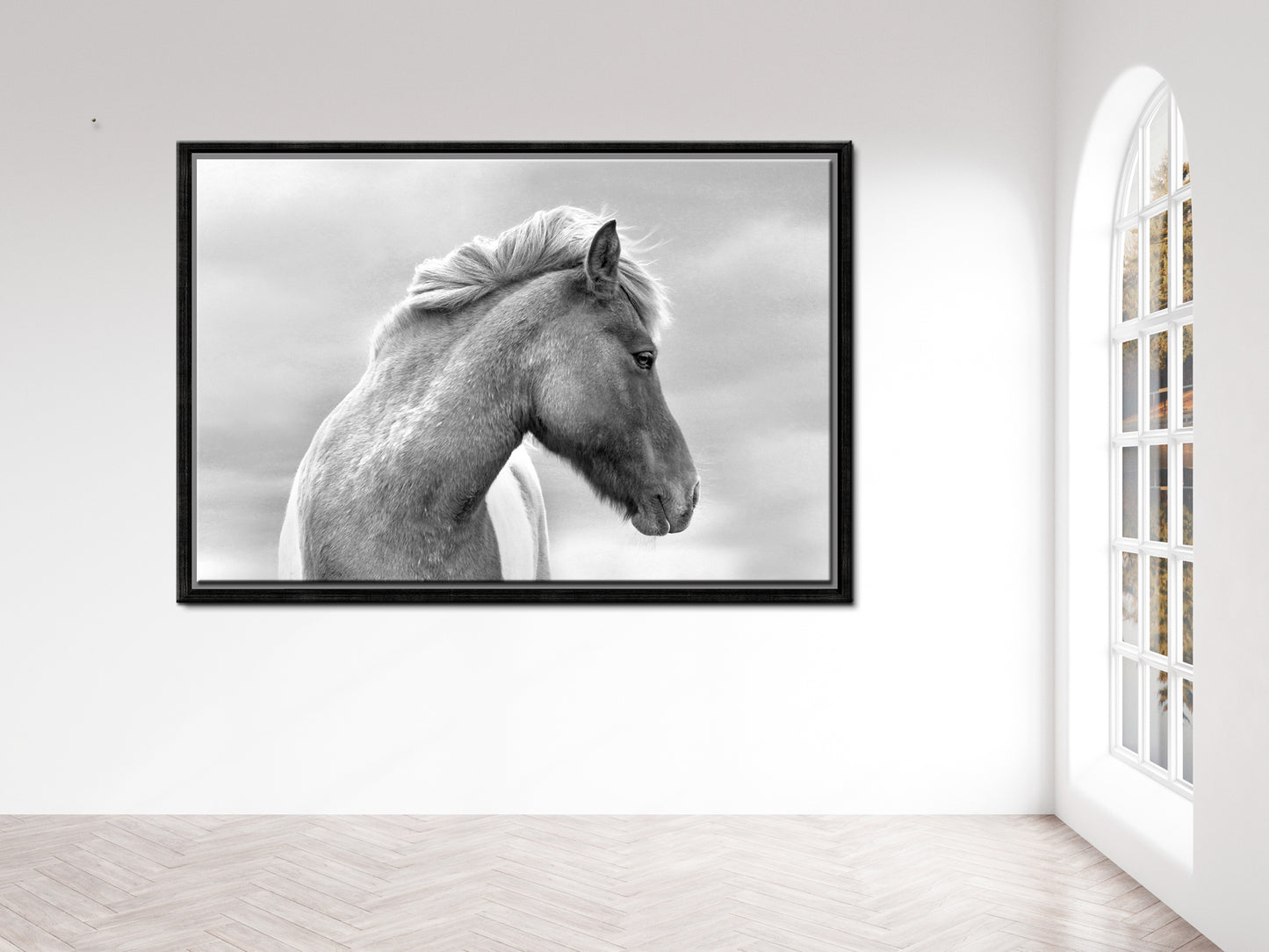 Flaunting Beauty-Fine Art Photography-Wild Icelandic Horse-Iceland-Black and White