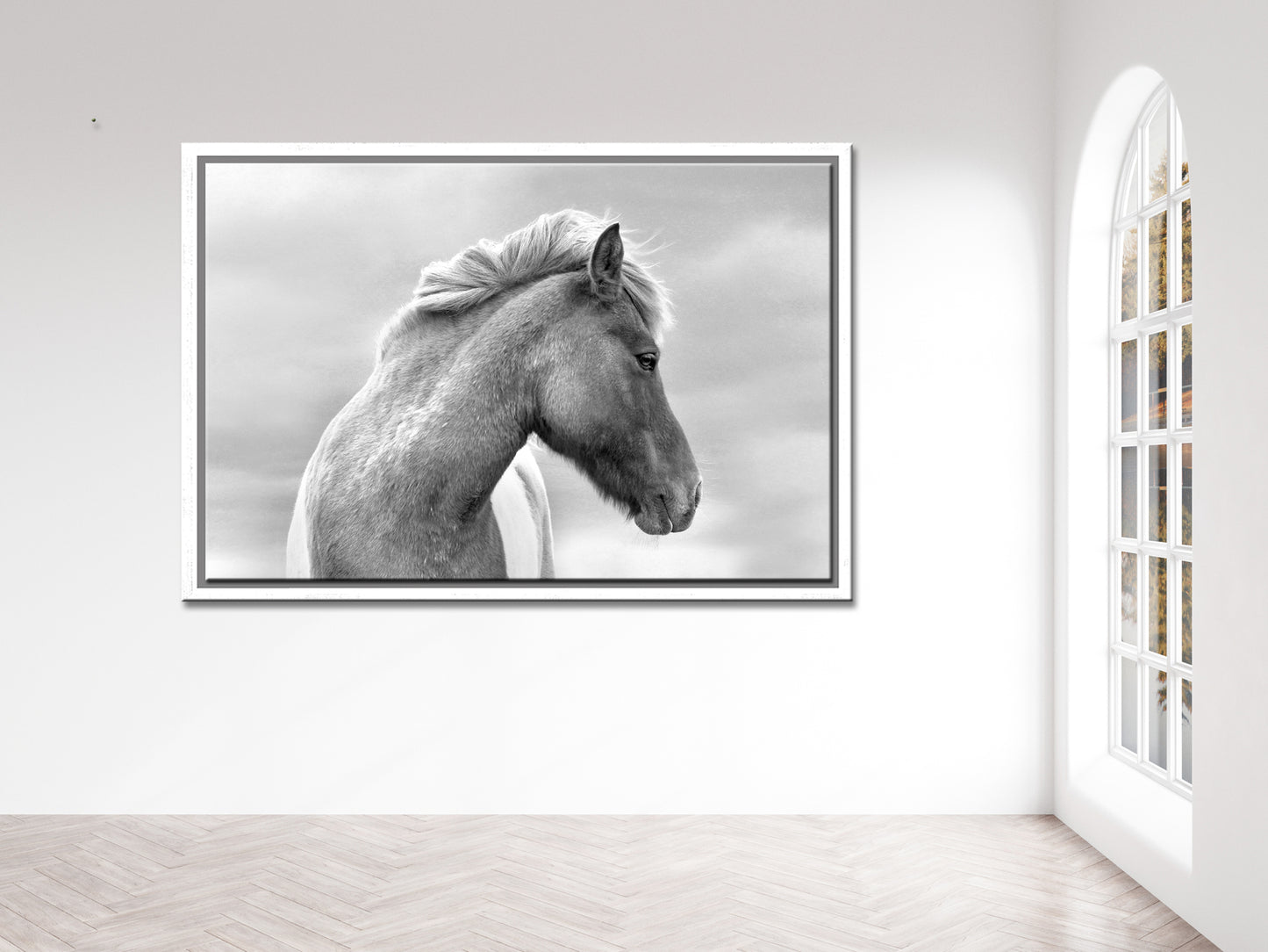 Flaunting Beauty-Fine Art Photography-Wild Icelandic Horse-Iceland-Black and White