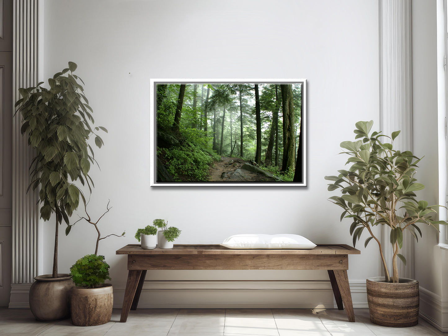 A Walk Through the Forest-Fine Art Photography-Smokey Mountains-Tennessee