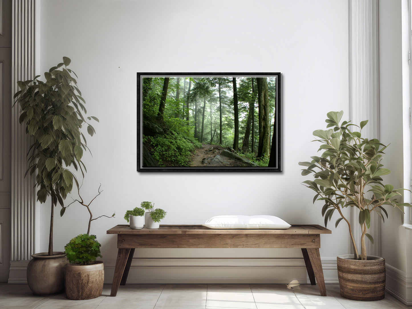 A Walk Through the Forest-Fine Art Photography-Smokey Mountains-Tennessee