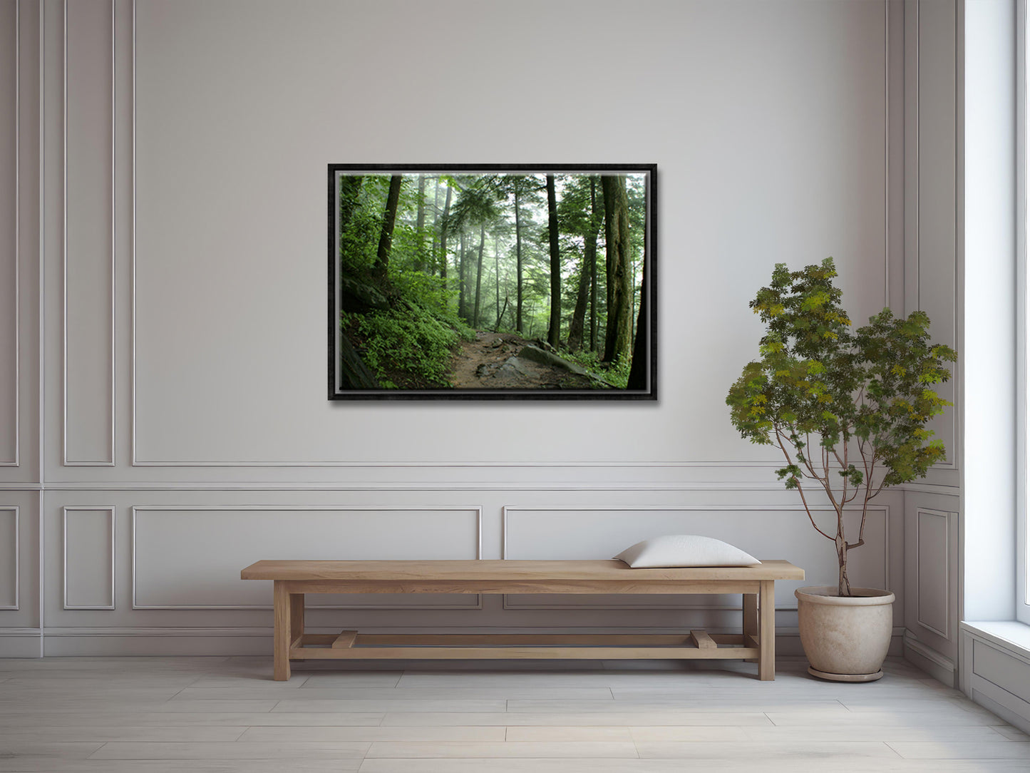 A Walk Through the Forest-Fine Art Photography-Smokey Mountains-Tennessee
