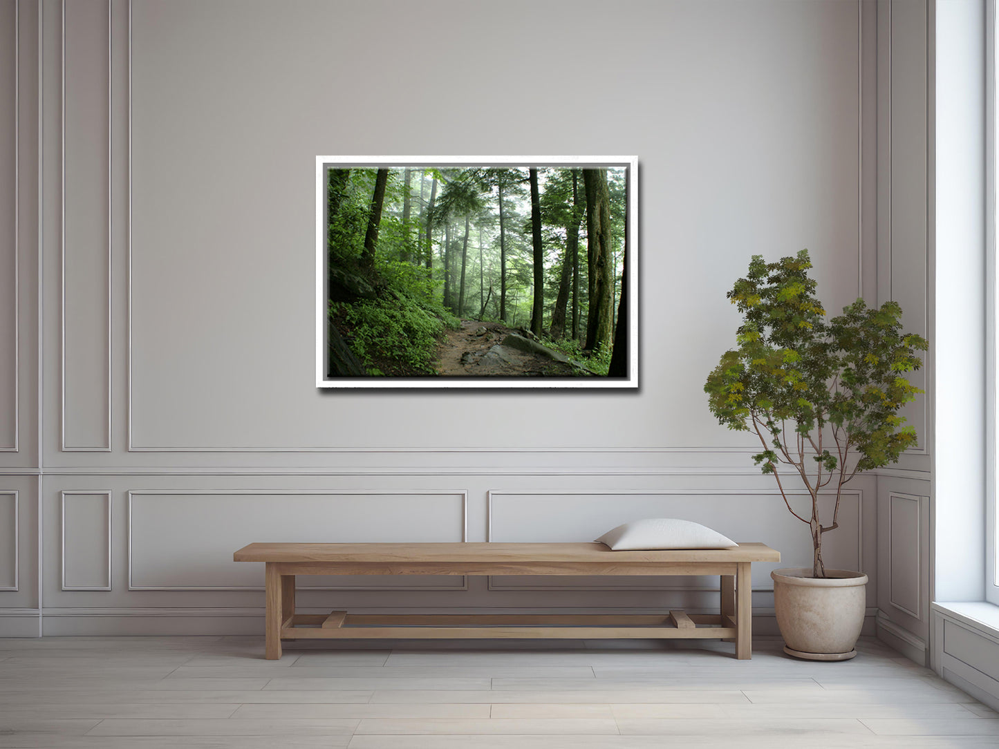 A Walk Through the Forest-Fine Art Photography-Smokey Mountains-Tennessee