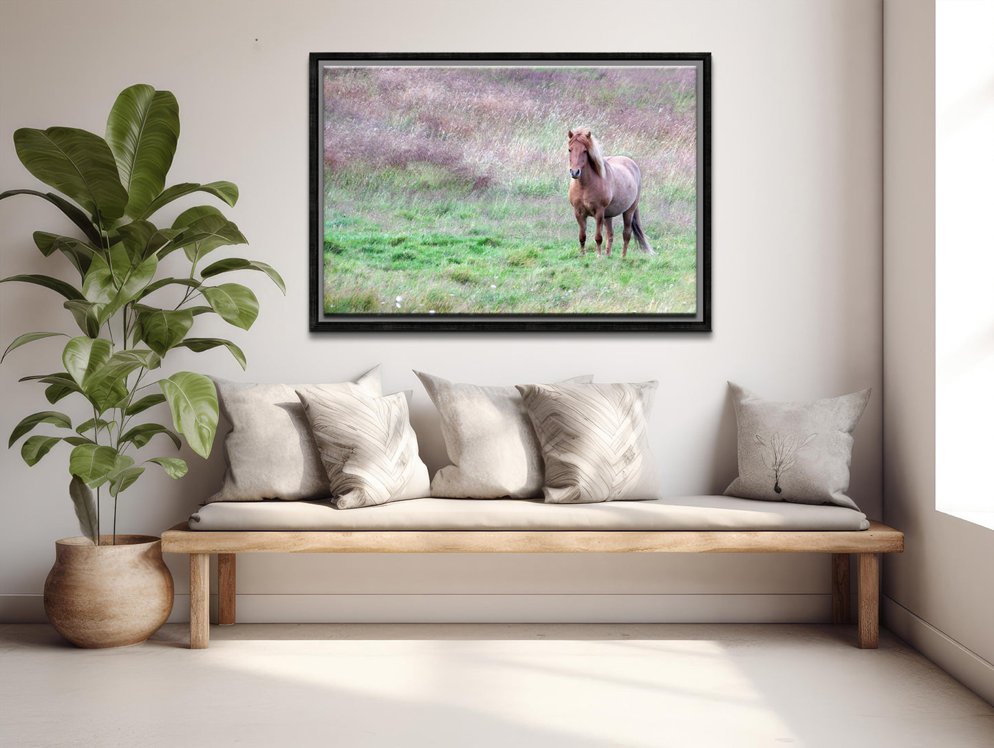 Free In The Field-Fine Art Photography-Wild Icelandic Horse