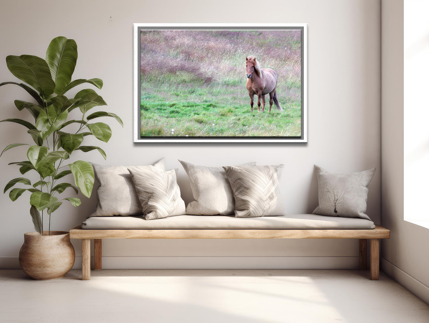 Free In The Field-Fine Art Photography-Wild Icelandic Horse