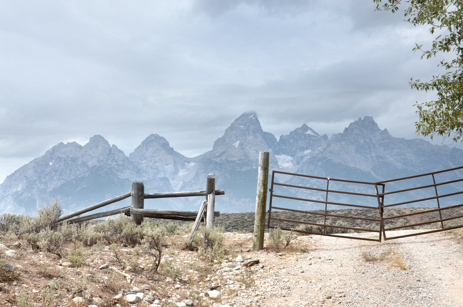 Old fence along the Grand Teton Mountains.  Fine Art Photography. Kristen Olivares
