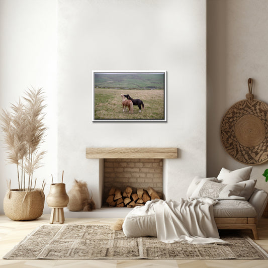 Come On, Let's Play!-Fine Art Photography-Horses of Ireland