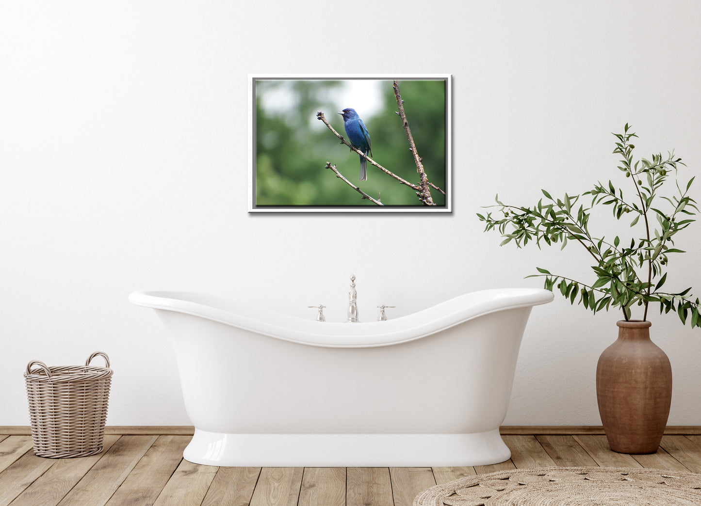 Indigo Blue-Fine Art Photography-Beautiful Blue Bunting Bird