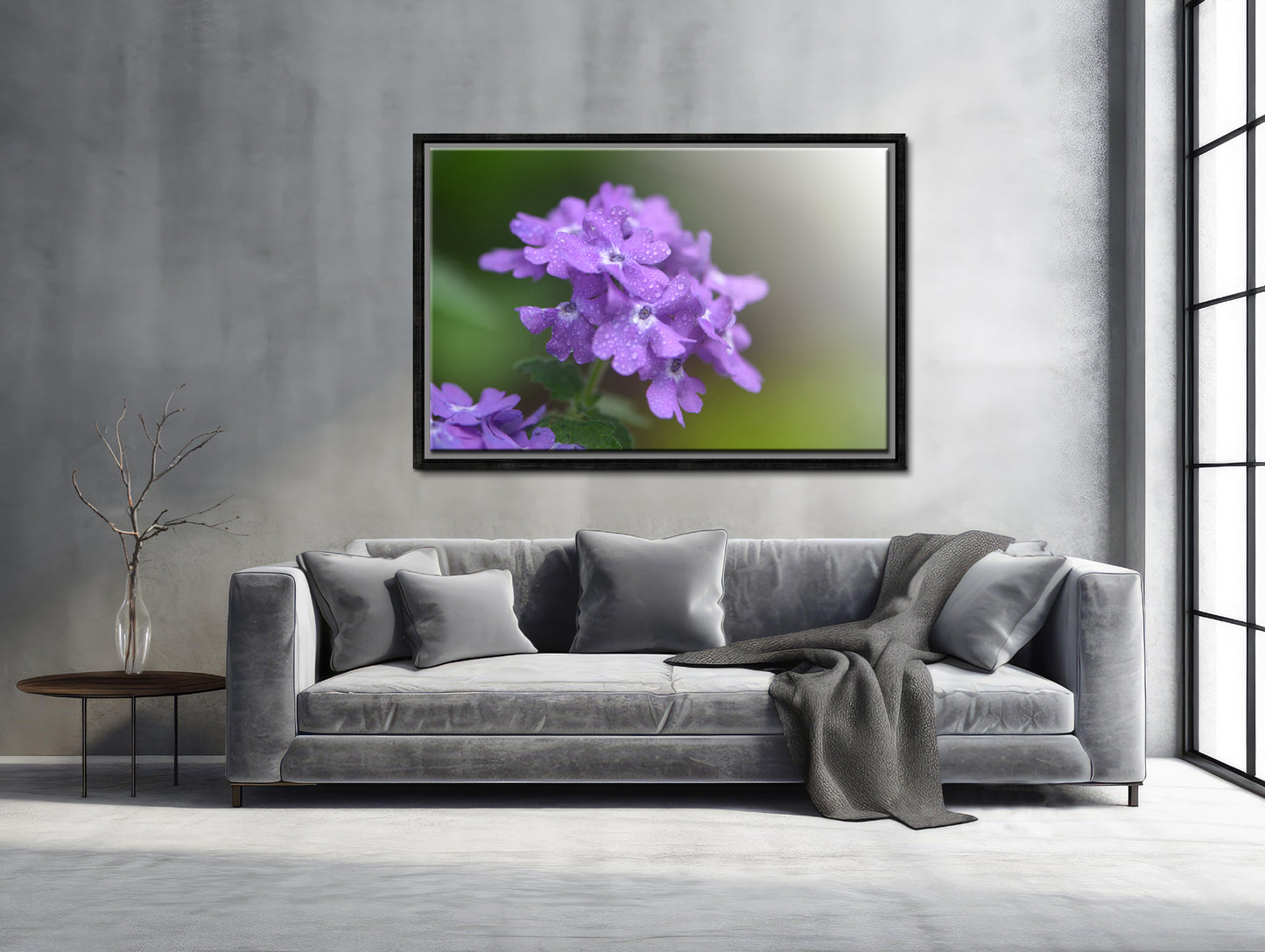 Phlox in the Rain-Fine Art Photography-Purple Phlox After the Rain