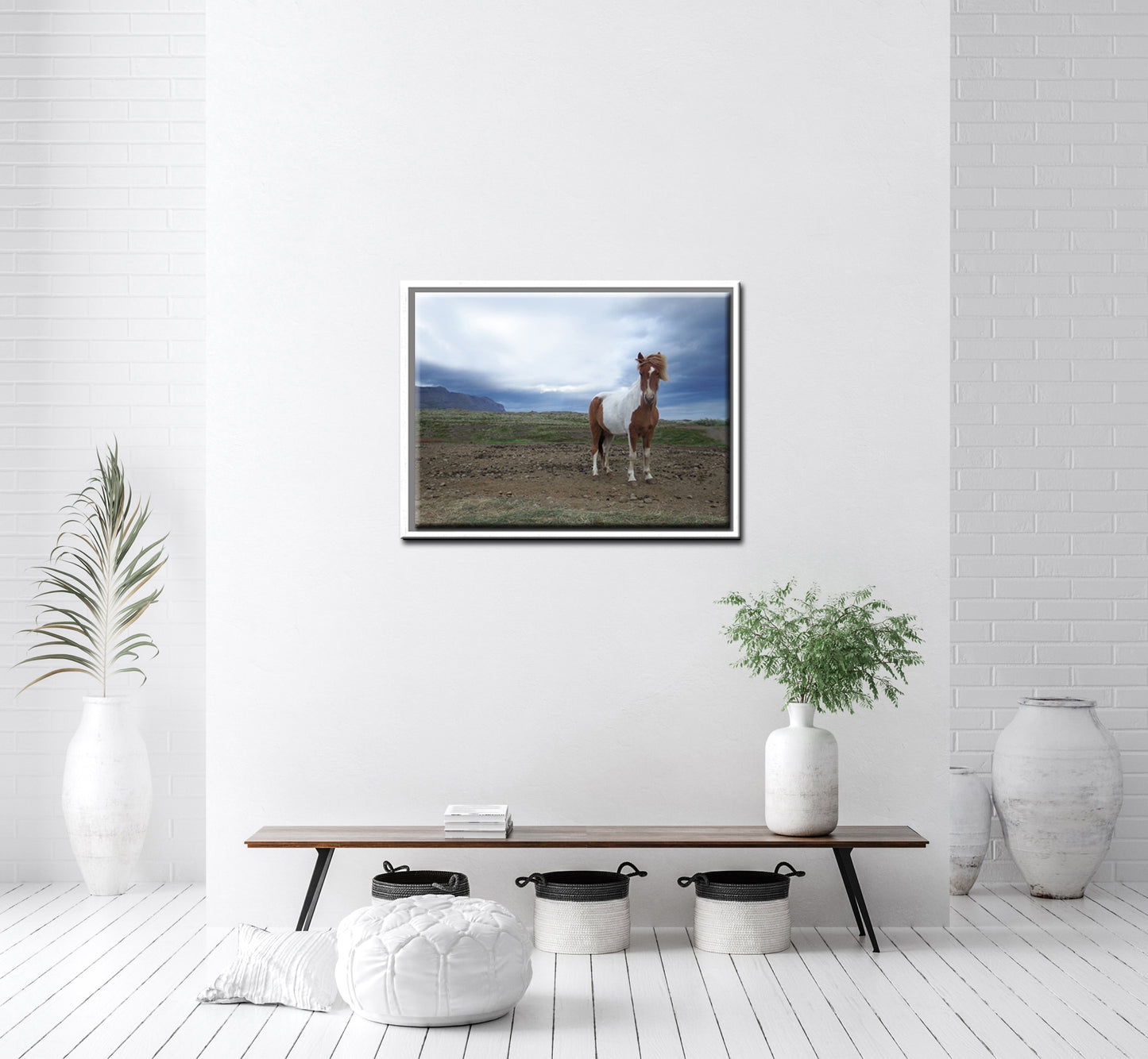 Powerful She Stands-Fine Art Photography-Wild Icelandic Horse-Iceland
