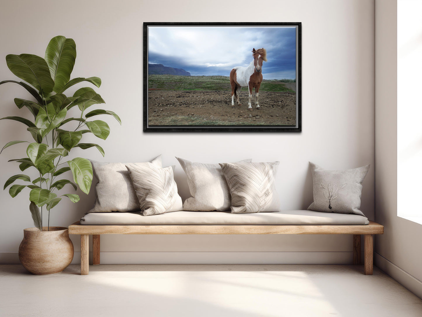 Powerful She Stands-Fine Art Photography-Wild Icelandic Horse-Iceland