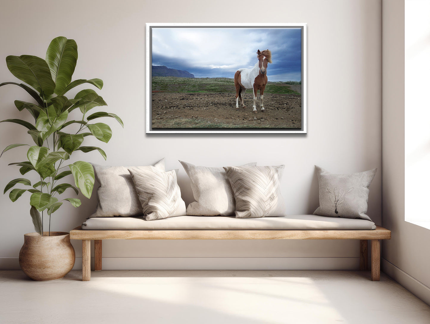 Powerful She Stands-Fine Art Photography-Wild Icelandic Horse-Iceland