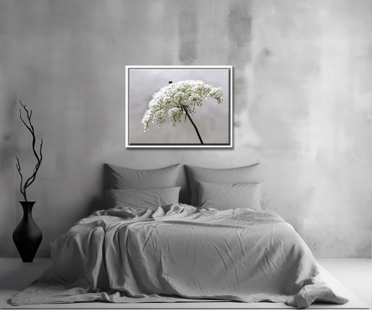 Queen's Ann's Lace-Fine Art Photography-Queen Ann's Lace in the Garden