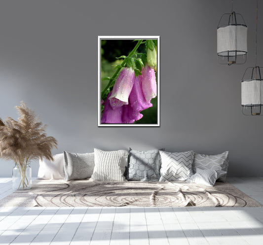 Raindrops Upon the Waxy Petals-Fine Art Photography-Pink Foxgloves After the Rain