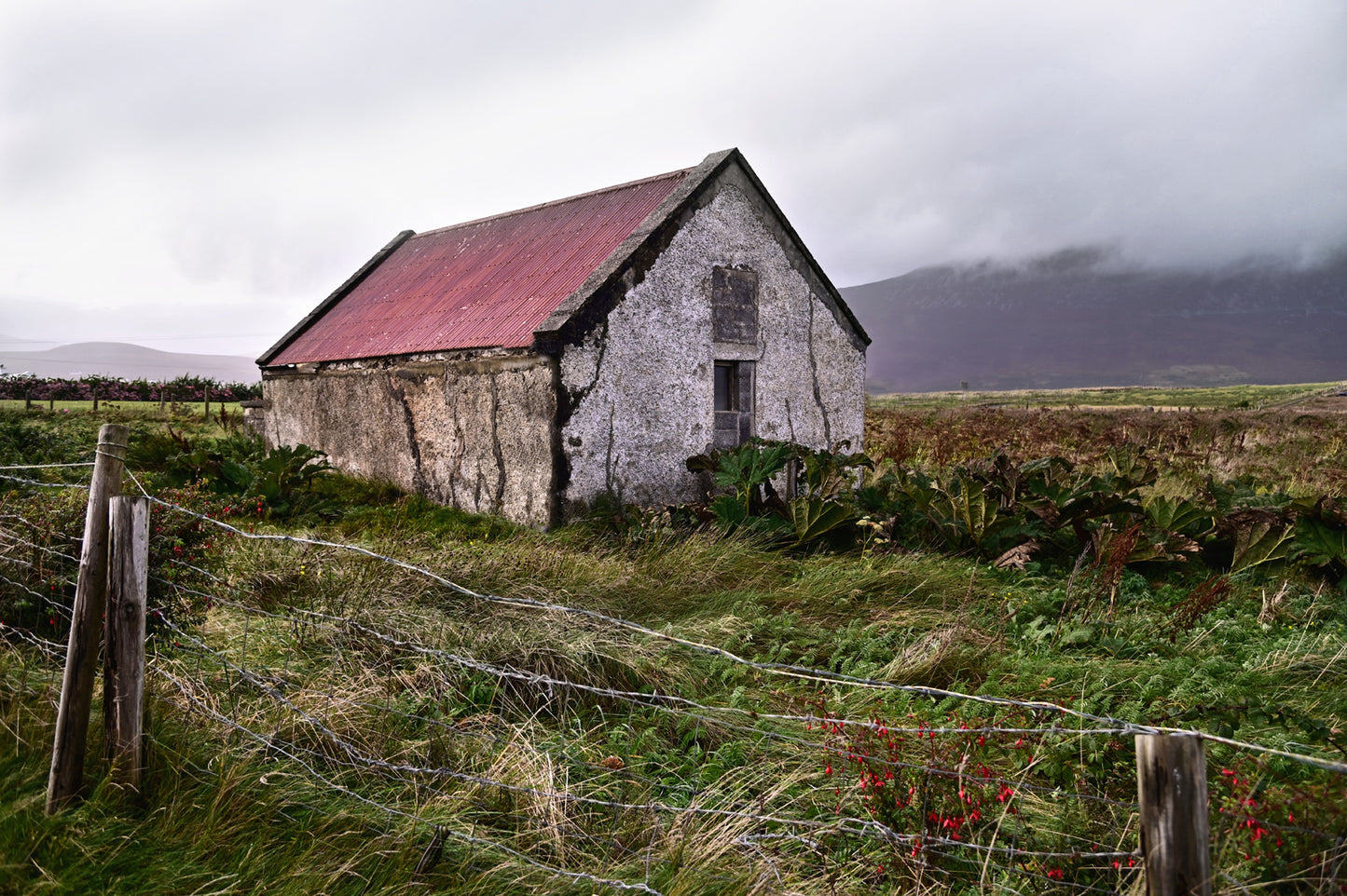 Red Roof On Achill Island-Fine Art Photography-Abandoned Barn