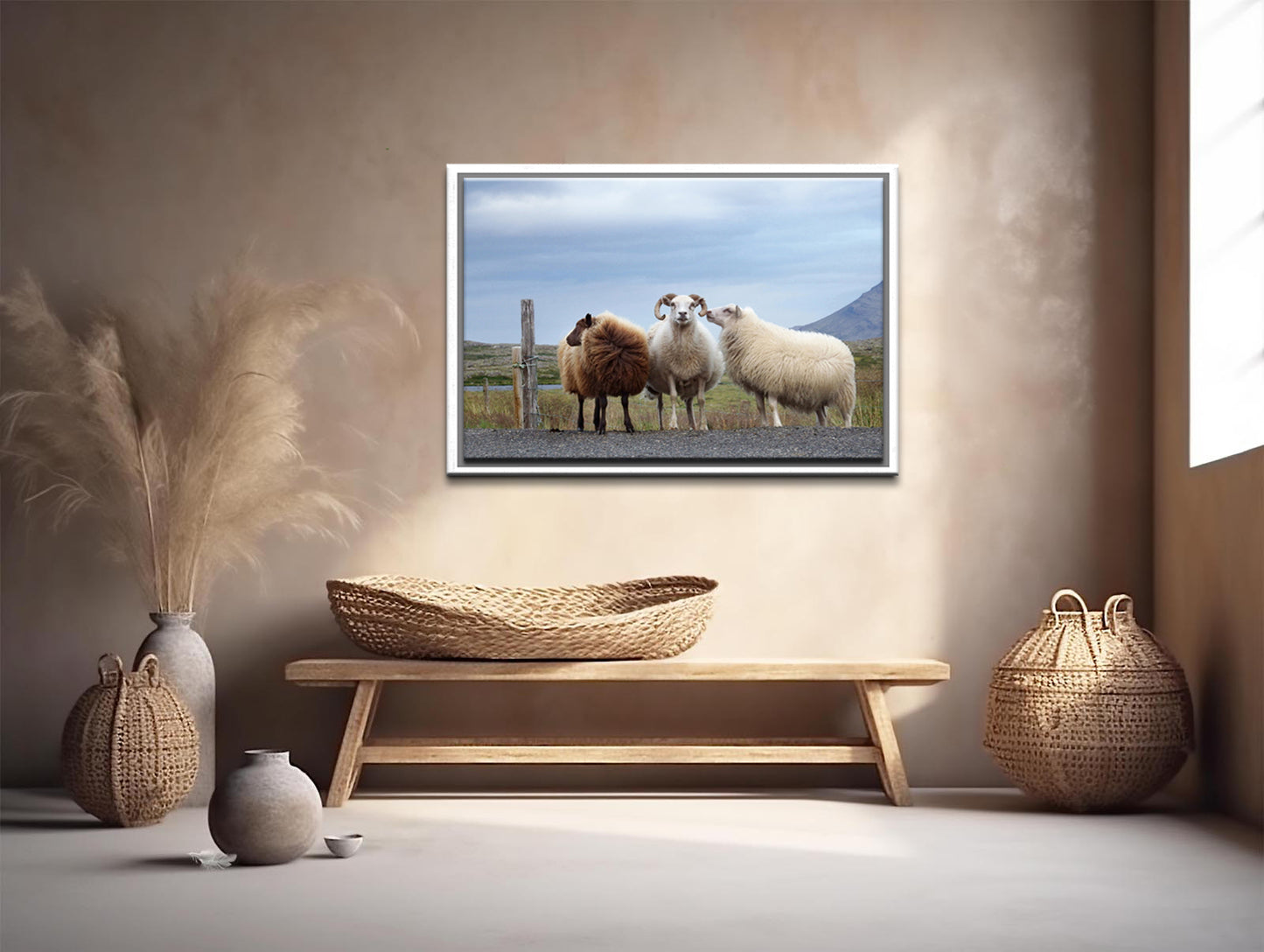 Sheep Secrets-Fine Art Photography-Three Sheep Standing on the Side of the Road in Iceland