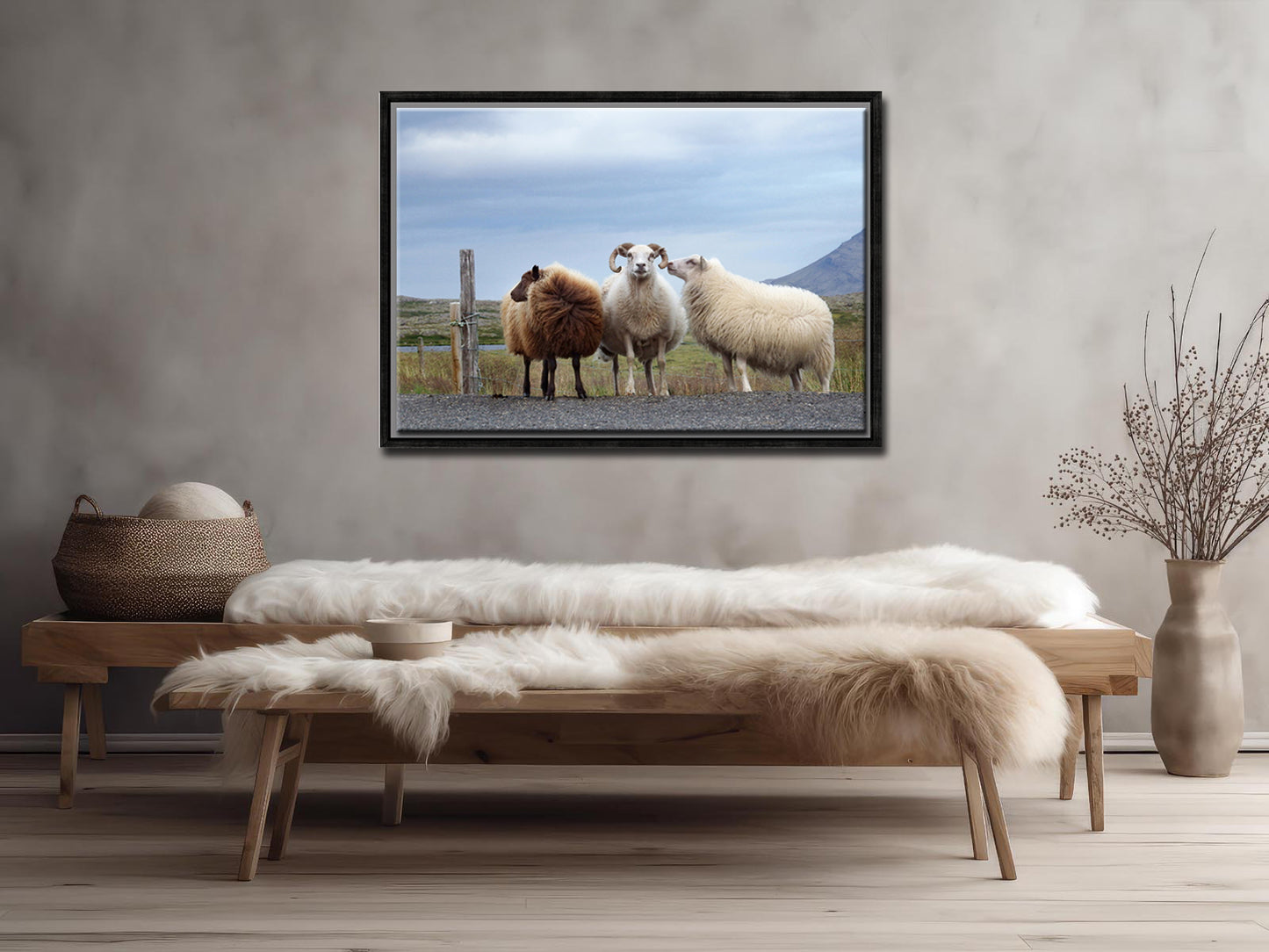 Sheep Secrets-Fine Art Photography-Three Sheep Standing on the Side of the Road in Iceland