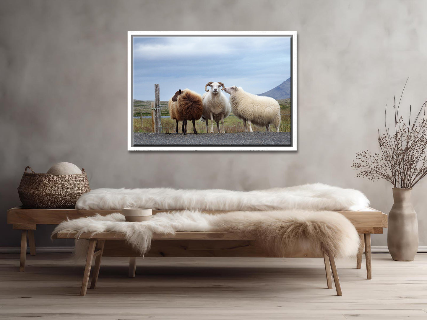 Sheep Secrets-Fine Art Photography-Three Sheep Standing on the Side of the Road in Iceland