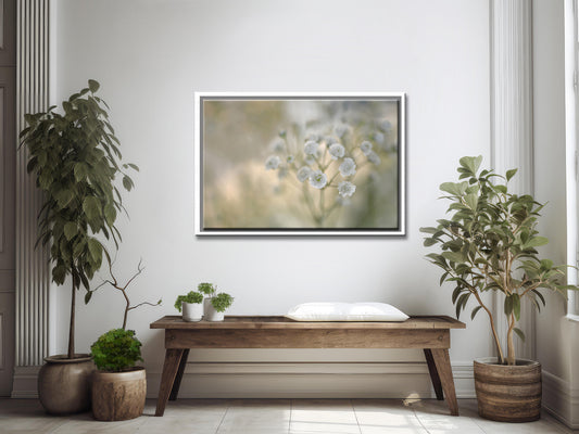 Whisper in the Garden-Fine Art Photography-Delicate Baby's Breath Flowers in the Gaarden