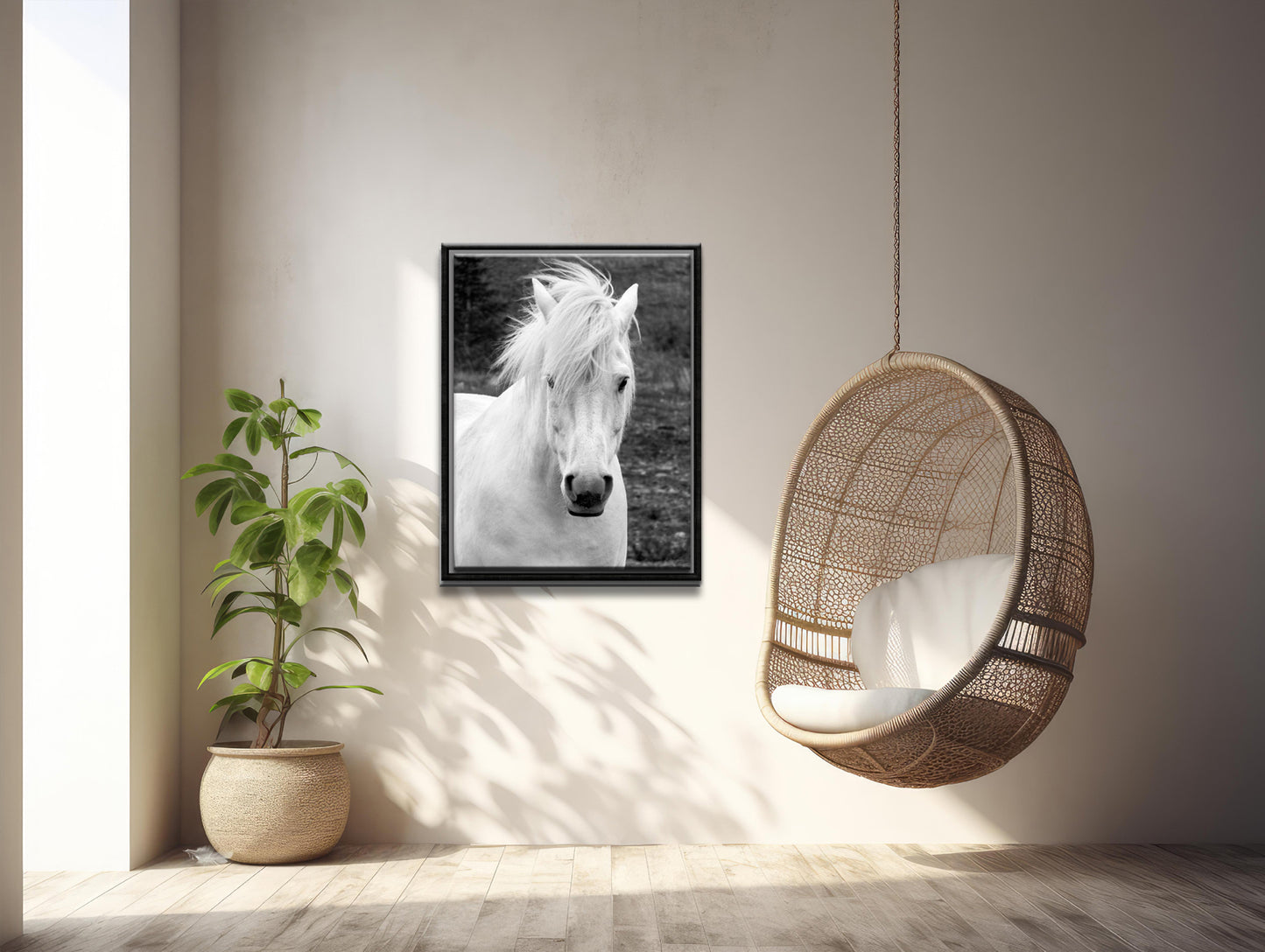 White Beauty-Fine Art Photography- Proud Icelandic Horse-Freedom-Black and White