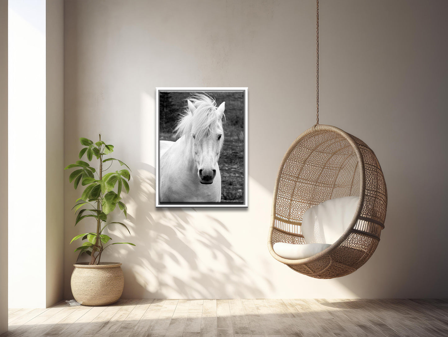 White Beauty-Fine Art Photography- Proud Icelandic Horse-Freedom-Black and White