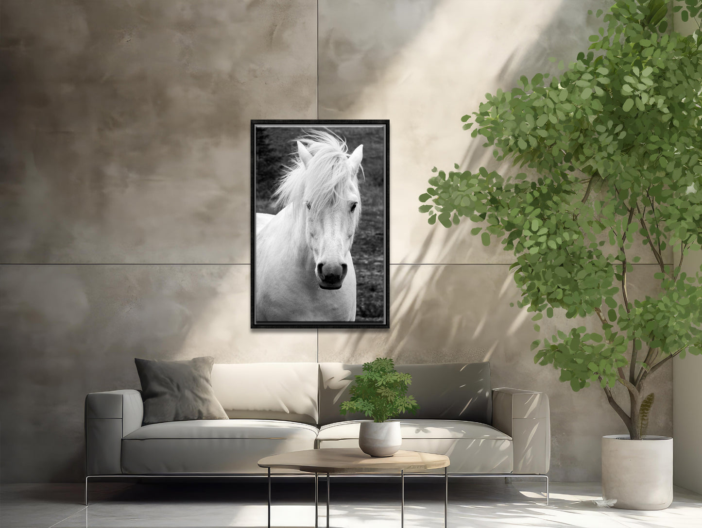 White Beauty-Fine Art Photography- Proud Icelandic Horse-Freedom-Black and White
