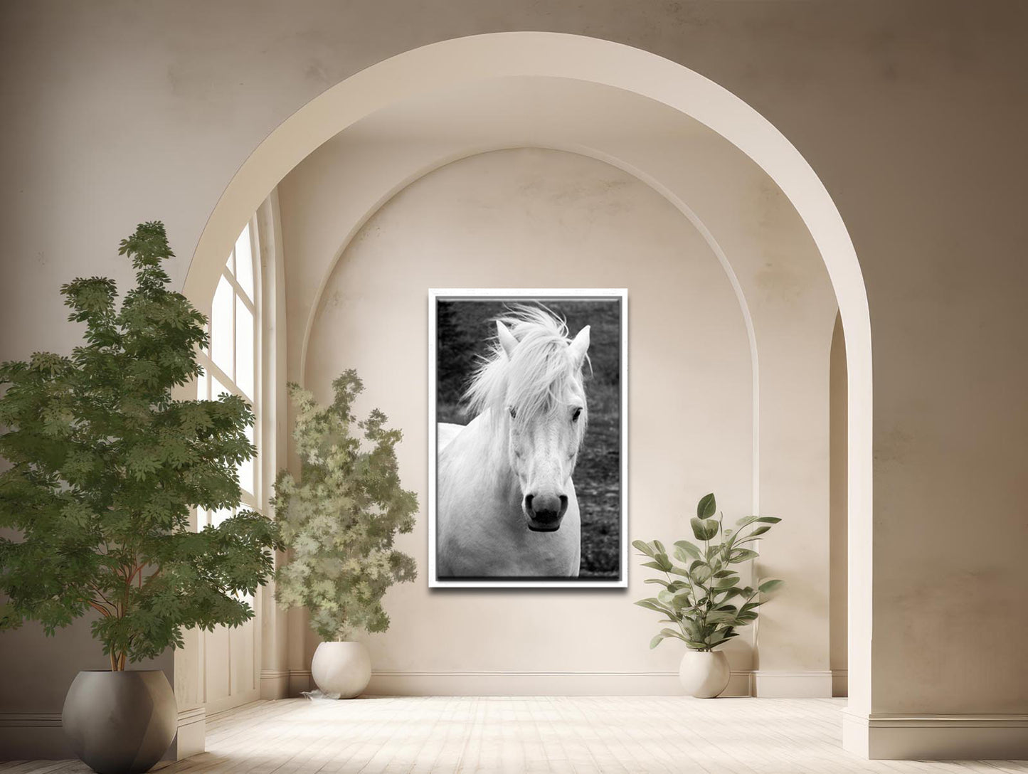 White Beauty-Fine Art Photography- Proud Icelandic Horse-Freedom-Black and White
