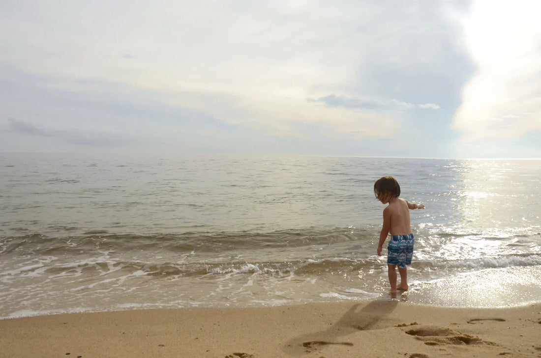 Where the Ocean Meets the Sandy Shore
