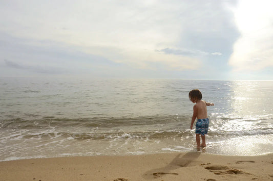 Where the Ocean Meets the Sandy Shore
