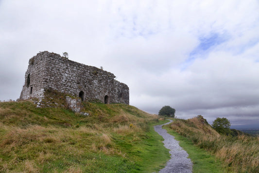 Rock of Dunamase in Ireland