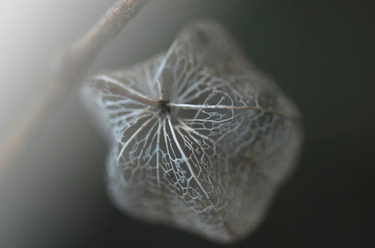 The Time that Goes Unnoticed