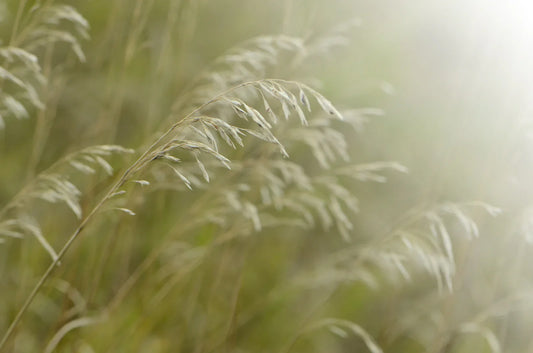 Finding the Room to Create