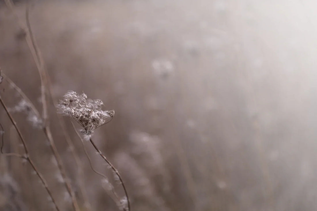 Do You Have Your Word?