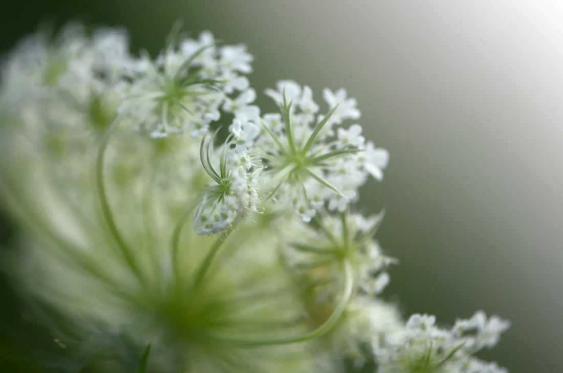 When it Doesn't Seem to End