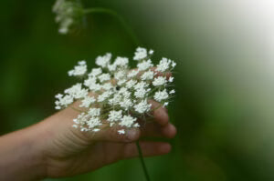 When Was the Last Time?