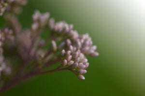 Being Slow And Mindful While Having A Strong Drive