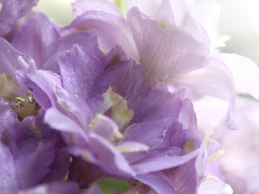 If We Don't Look Up, We'll Miss It