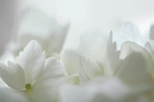 We All Have the Same Amount of Time in a Day