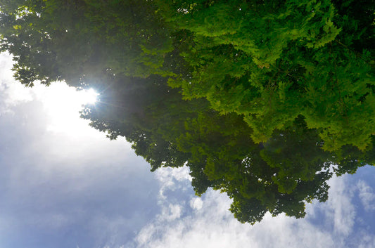 What Super Simple Thing Have You Done For Yourself Today That Made You Happy?