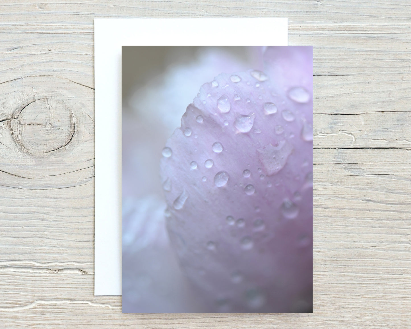 Pink in the Rain Greeting Card