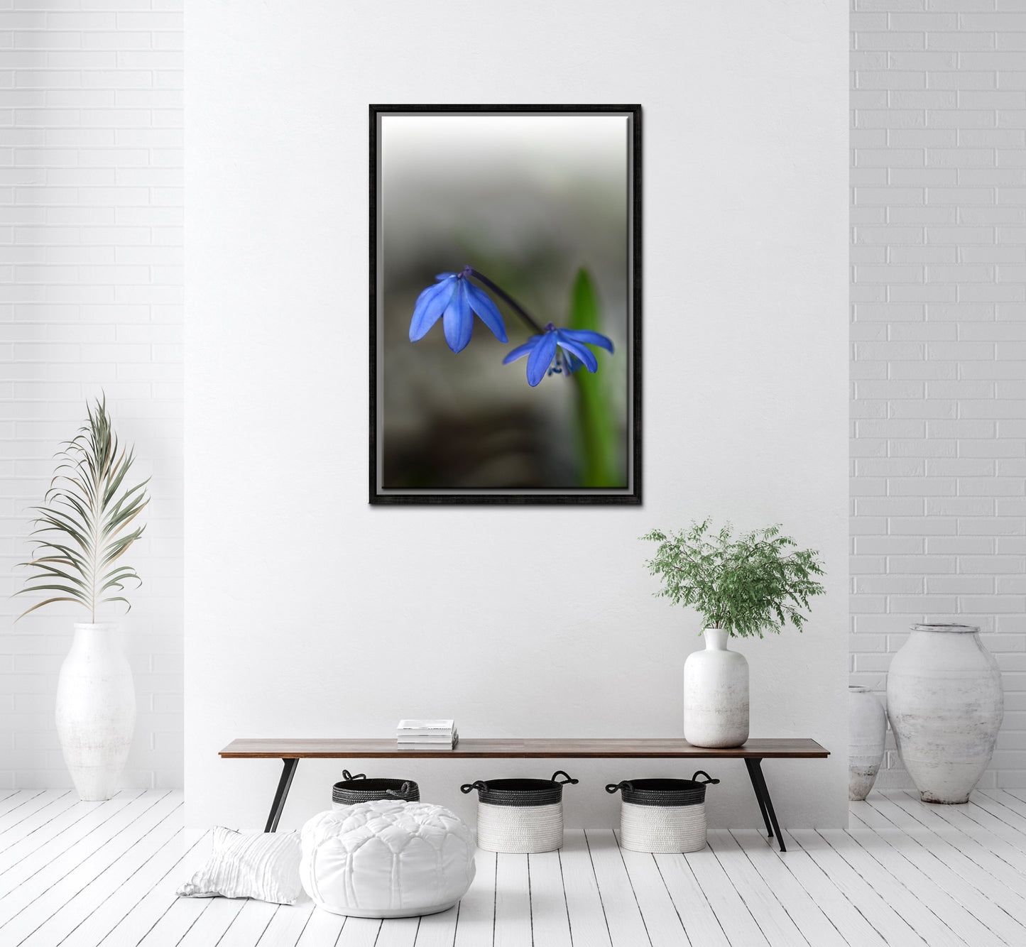 Blue Siberian Squill Flowers. Framed Canvas wall art by Kristen Olivares.